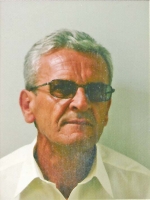 Janecic Vladi